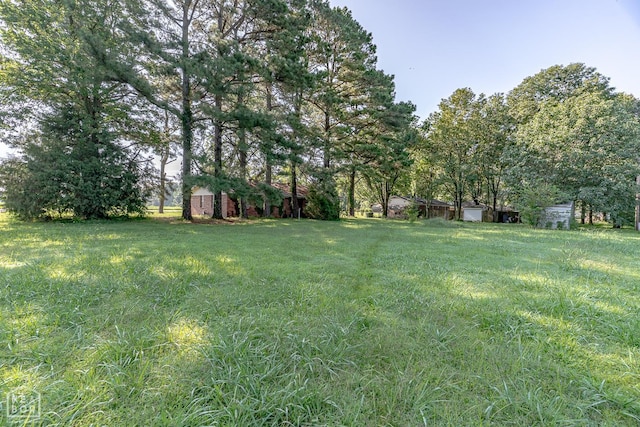 315 N Main St, Bono, AR 72416 - photo 31