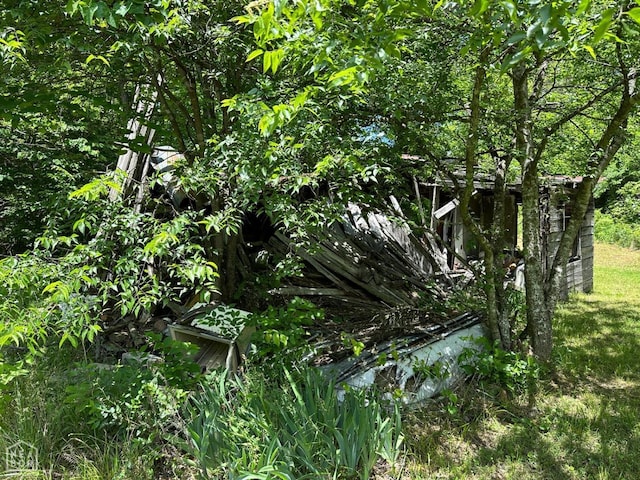 1937 Mc 5019, Yellville, AR 72687