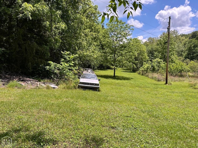 1937 Mc 5019, Yellville, AR 72687