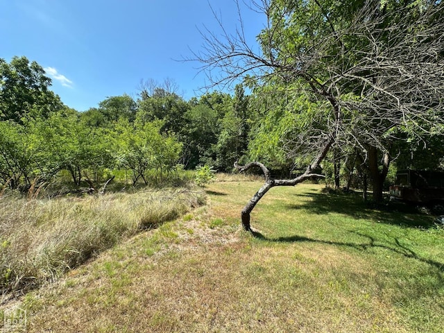 1937 Mc 5019, Yellville, AR 72687