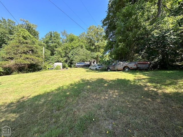 1937 Mc 5019, Yellville, AR 72687