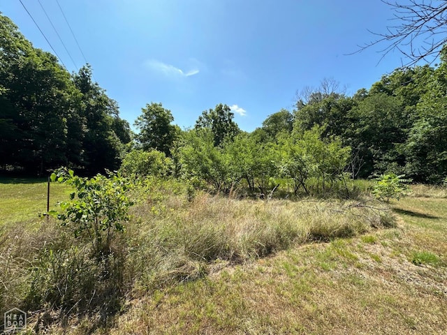 1937 Mc 5019, Yellville, AR 72687