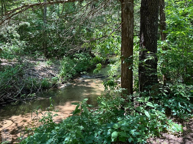 1937 Mc 5019, Yellville, AR 72687
