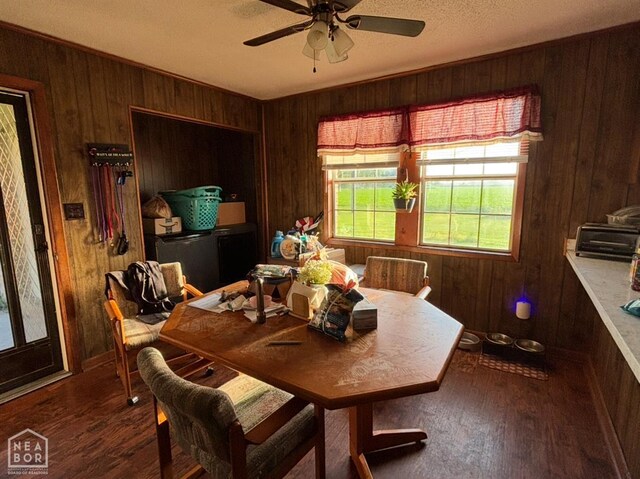 205 Lynn Ave, Caraway, AR 72419 - photo 5