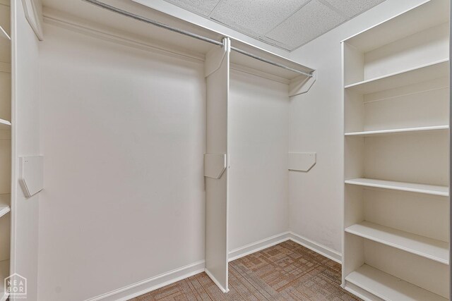 2101 Belleview Cv, Jonesboro, AR 72404 - spacious closet featuring a drop ceiling
