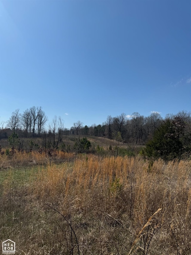 4941 Greene 721 Rd, Paragould, AR 72450