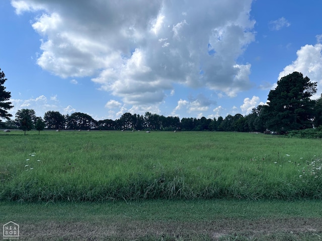 164 Clay 474 Rd, Greenway, AR 72430 - photo 60