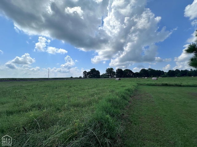 164 Clay 474 Rd, Greenway, AR 72430 - photo 49