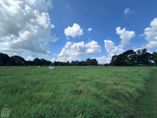 164 Clay 474 Rd, Greenway, AR 72430 - photo 50