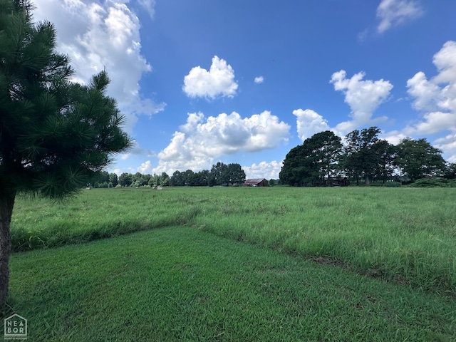 164 Clay 474 Rd, Greenway, AR 72430 - photo 55