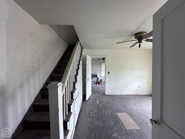 164 Clay 474 Rd, Greenway, AR 72430 - photo 43
