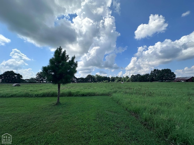164 Clay 474 Rd, Greenway, AR 72430 - photo 56