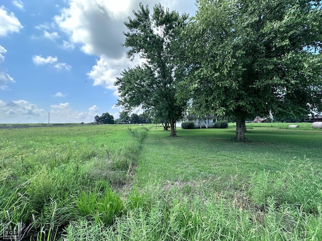 164 Clay 474 Rd, Greenway, AR 72430 - photo 62