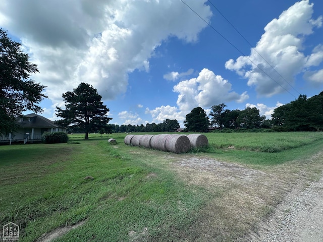 164 Clay 474 Rd, Greenway, AR 72430 - photo 65
