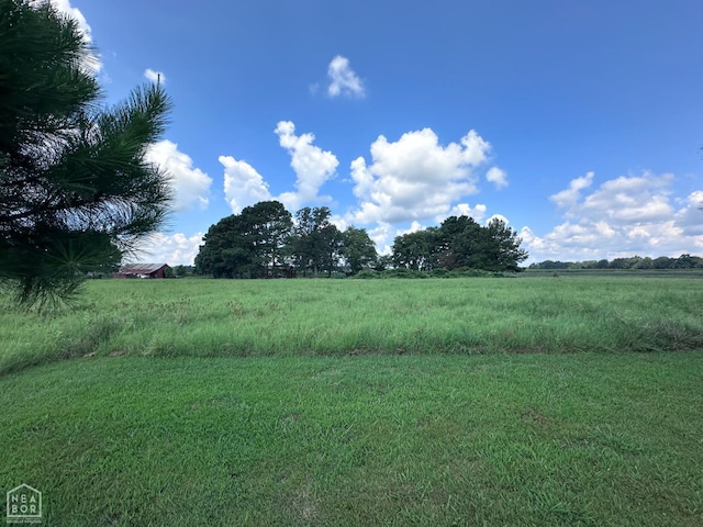 164 Clay 474 Rd, Greenway, AR 72430 - photo 54