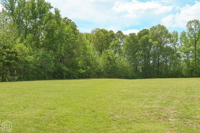 3997 Hwy 351, Jonesboro, AR 72405 - view of grassy yard