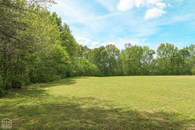 3997 Hwy 351, Jonesboro, AR 72405 - view of grassy yard featuring a forest view