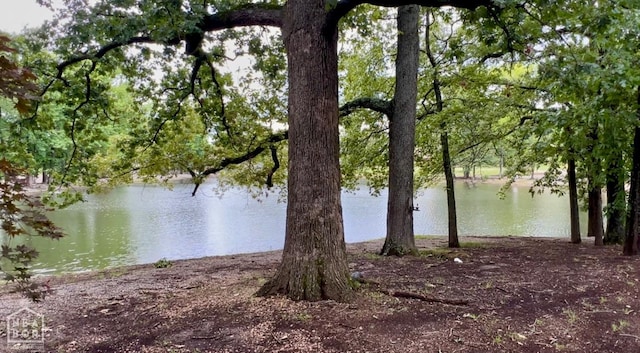 3102 Sara Creek Dr, Jonesboro, AR 72401 - water view