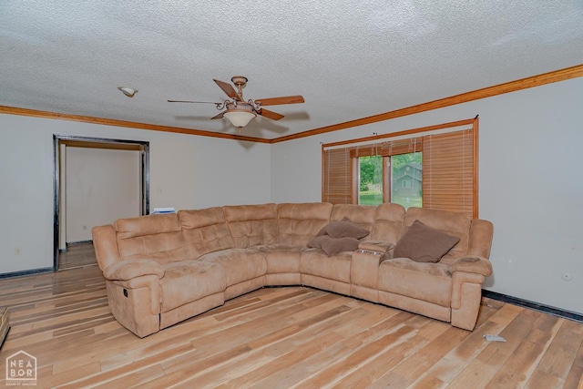 812 Glendale St, Jonesboro, AR 72401 - living room featuring crown molding, light wood finished floors, ceiling fan, a textured ceiling, and baseboards