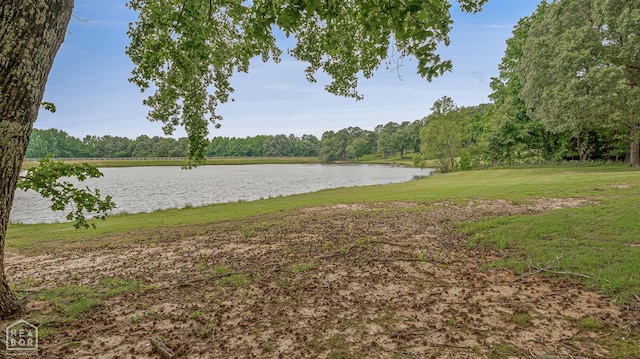 3500 Big Creek Cv, Jonesboro, AR 72404 - water view featuring a forest
