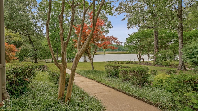 3500 Big Creek Cv, Jonesboro, AR 72404 - view of grassy yard with a water view