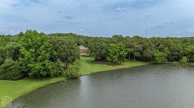 3500 Big Creek Cv, Jonesboro, AR 72404 - water view featuring a heavily wooded area