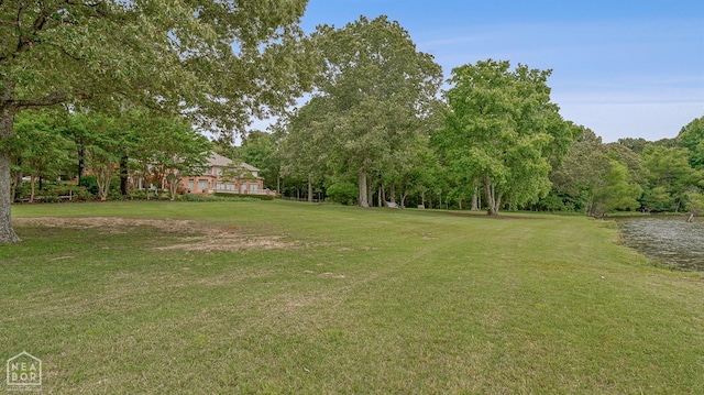 3500 Big Creek Cv, Jonesboro, AR 72404 - view of green lawn