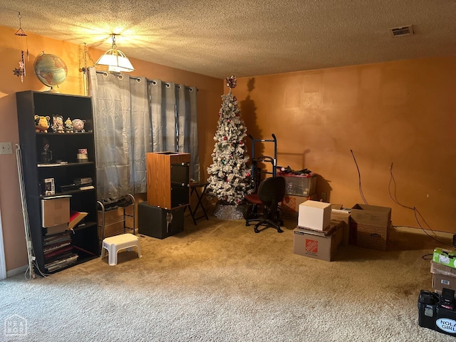 1703 W Oak Ave, Jonesboro, AR 72401 - office with carpet and a textured ceiling