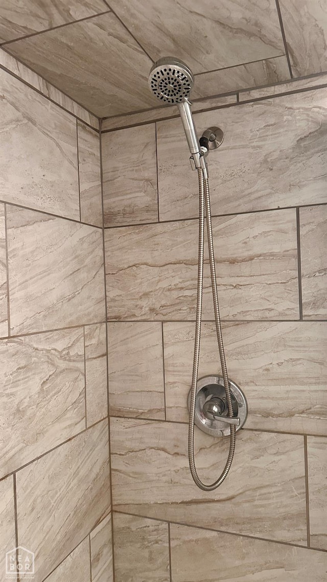 1703 W Oak Ave, Jonesboro, AR 72401 - bathroom view of tiled shower