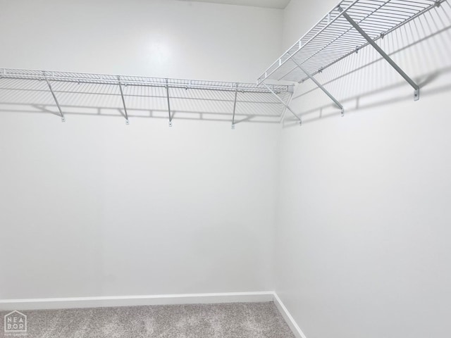 112 Terry Dr, Brookland, AR 72417 - walk in closet with carpet floors