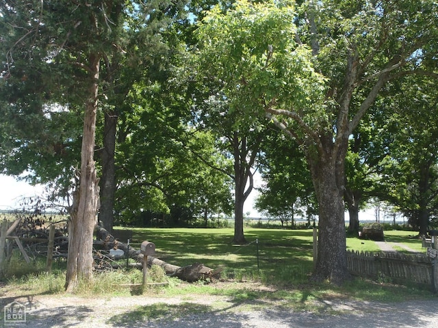 616 Jackson 101, Newport, AR 72112 - photo 5