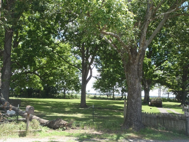 616 Jackson 101, Newport, AR 72112 - photo 6