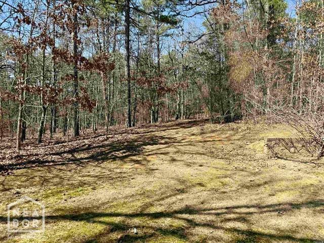 245 Greene 687 Rd, Paragould, AR 72450 - photo 36
