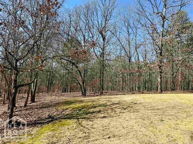245 Greene 687 Rd, Paragould, AR 72450 - photo 37