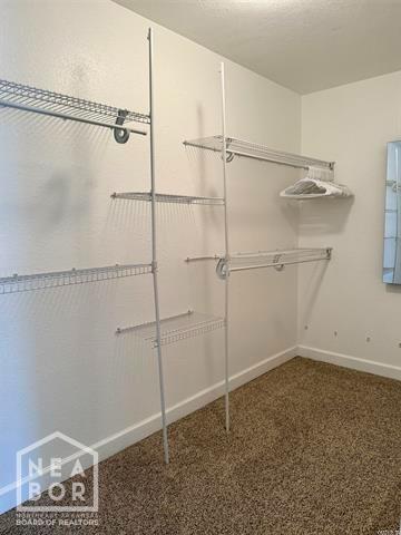 245 Greene 687 Rd, Paragould, AR 72450 - photo 20