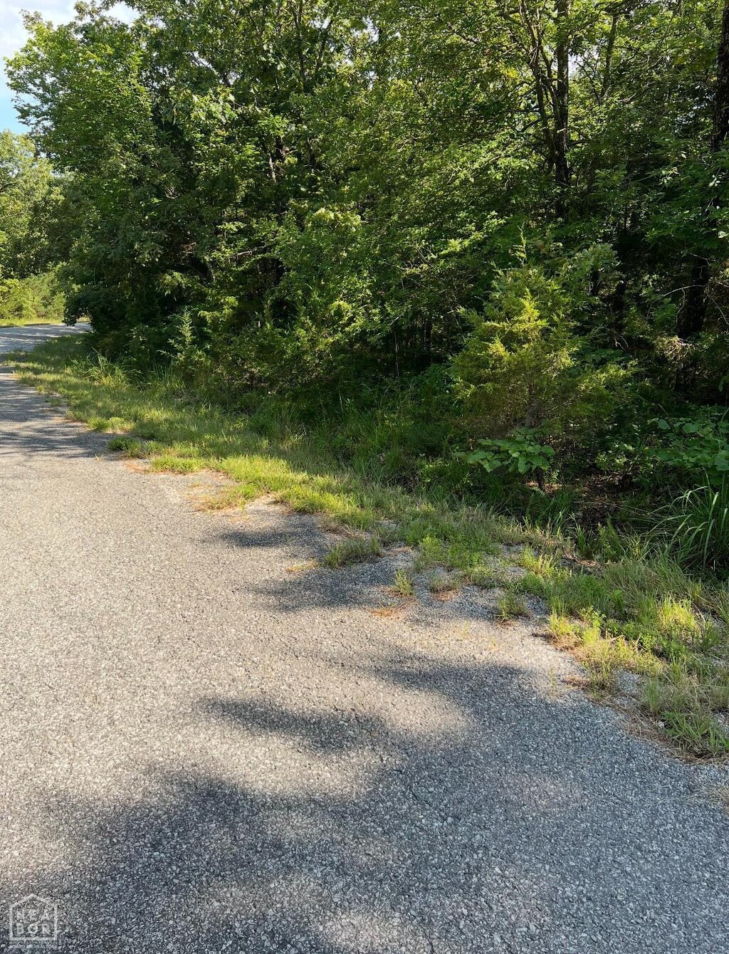 701 Lynwood Ave, Horseshoe Bend, AR 72512 - photo 1
