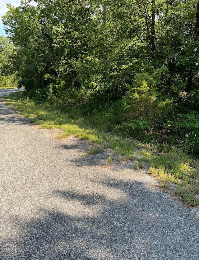 701 Lynwood Ave, Horseshoe Bend, AR 72512 - photo 1