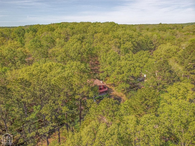 60 Cherokee Rd, Cherokee Village, AR 72529 - photo 50
