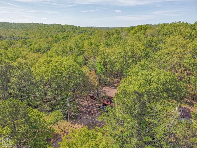 60 Cherokee Rd, Cherokee Village, AR 72529 - photo 51