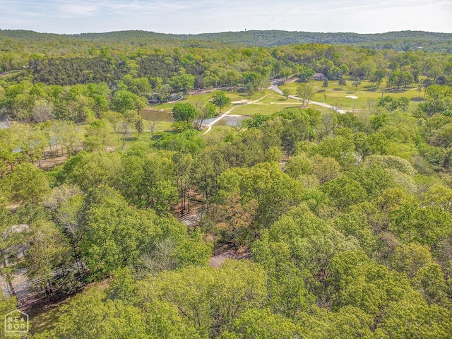 60 Cherokee Rd, Cherokee Village, AR 72529 - photo 52