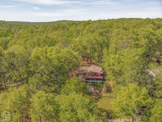 60 Cherokee Rd, Cherokee Village, AR 72529 - photo 49