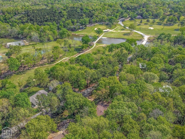 60 Cherokee Rd, Cherokee Village, AR 72529 - photo 53