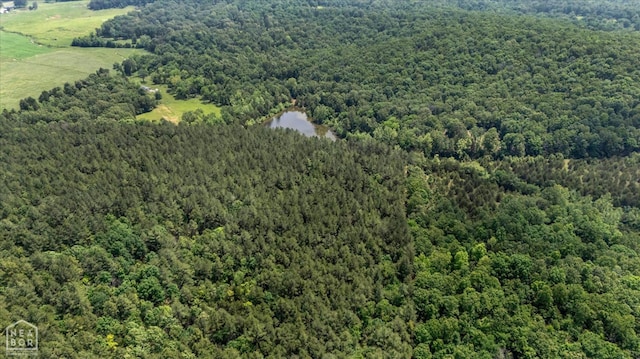 40 Bruce Mitchell Rd, Ravenden Spring, AR 72460