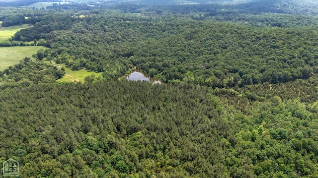 40 Bruce Mitchell Rd, Ravenden Spring, AR 72460