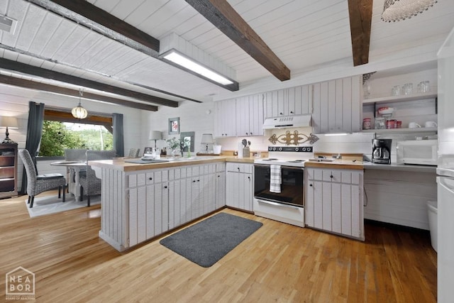 2 Star Falls Ln, Cherokee Village, AR 72529 - kitchen with light wood-style floors, white appliances, a peninsula, and under cabinet range hood