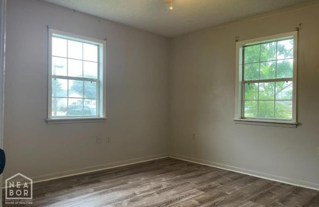 313 Olive St, Trumann, AR 72472 - empty room with plenty of natural light, wood finished floors, and a textured ceiling