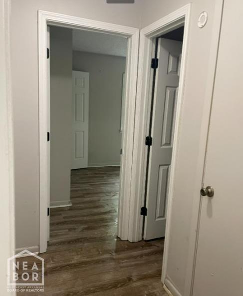 313 Olive St, Trumann, AR 72472 - corridor with wood finished floors and baseboards
