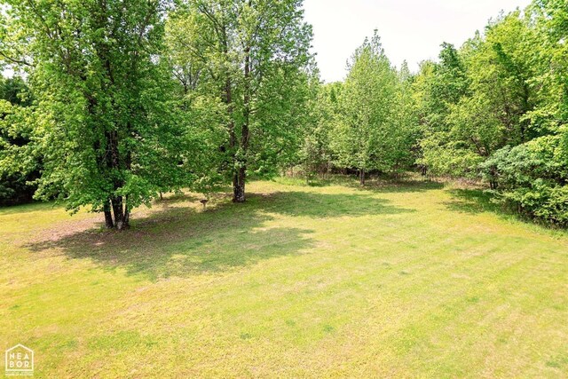  - view of yard