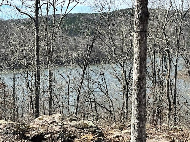 915 Canyon Rd, Higden, AR 72067 - photo 7