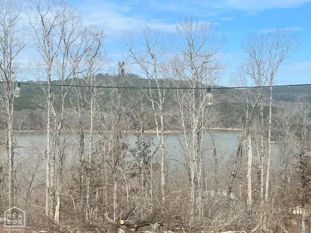 915 Canyon Rd, Higden, AR 72067 - photo 1